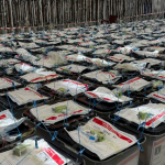 Konferenca e KQZ-së për fillimin e numërimit të votave të kandidatëve për deputetë