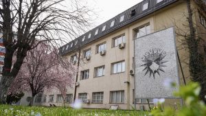 OShP konfirmon shkeljet, Policia hesht