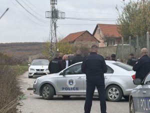 Detaje si u arrestua i dyshuari për vrasjen e dy vëllezërve