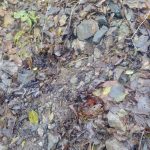 Sveçla reagon pas sekuestrimit të detonatorëve ndezës me fitila në Leposaviq