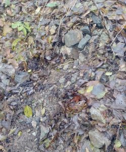 Sveçla reagon pas sekuestrimit të detonatorëve ndezës me fitila në Leposaviq