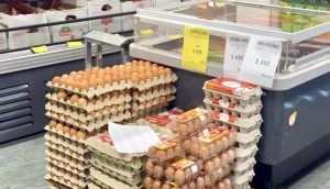 Vezët po bëhen luks