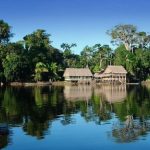 Amazona po i afrohet ‘pikës pa kthim’, paralajmërojnë shkencëtarët