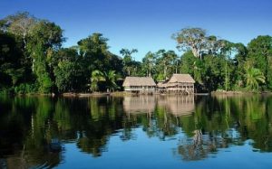 Amazona po i afrohet ‘pikës pa kthim’, paralajmërojnë shkencëtarët