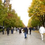 Paga minimale nga janari pritet të jetë 500 euro?