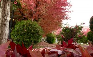 Parashikimi i motit për sot