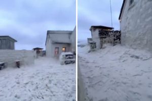 Skena të pabesueshme nga Irlanda, sasi e madhe shkume deti mbulon bregdetin