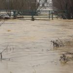 Vërshimet në Malishevë, evakuohen disa familje