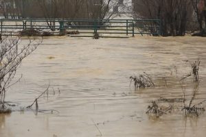 Situata në Malishevë, gazetarja Argjentina Shala jep detaje