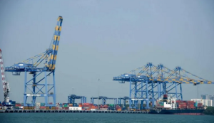 Çmimet e naftës bien mes rritjes së ofertës