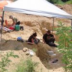 Instituti Max Planck mbështet kërkimin fosilor të Muzeut të Historisë Natyrore të Bullgarisë