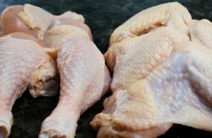 Importi nga Rumania, asgjësohen disa tonelata mish pule me salmonella