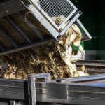 Kosova ndalon importin e shpezëve dhe produkteve të tyre nga Italia