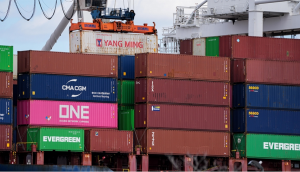 Qeveria zvicerane merr këtë vendim për tarifat amerikane