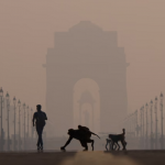 India teston “mbjelljen e reve” në Delhi për të pastruar ajrin në qytetin më të ndotur të botës