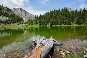Rritet numri i vizitorëve në Kosovë