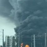 Tramvajet kroate ndaluan për shkak të Mercedesit, zonja shkoi te kasapi