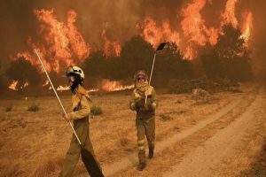 Tentoi të hynte në Shqipëri me lëndë narkotike, arrestohet 48-vjeçari