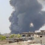 Berlini do të bëhet me një milion pemë deri në vitin 2040