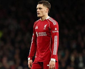 Ylli i ri u pagua 133 milionë euro këtë verë, shënon golin e tij të parë për Liverpool