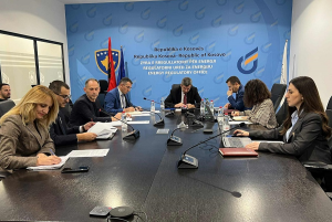 ZRRE-ja licencon disa kompani me aktivitet të furnizimit me energji elektrike