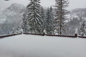 Katër të lënduar në Bogë, jep detaje policia