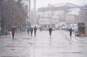 ​Parashikimi i motit