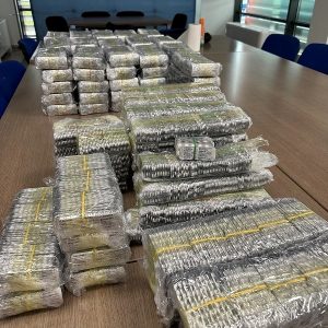 Kroatët dërgojnë në paraburgim serbin e kapur me 180 mijë pilula qetësuese