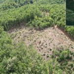 Alarmi i BE-së për Mjedisin