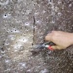 Rrjeta më e madhe e merimangës në botë zbulohet në kufirin midis Shqipërisë e Greqisë