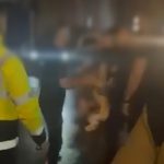 Sherr mes shqiptarëve në një klub nate në Zvicër