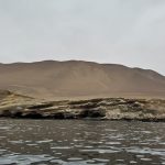 Si i mbijetoi thatësirës së madhe qytetërimi më i vjetër amerikan?