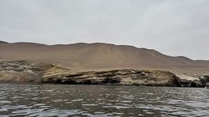 Si i mbijetoi thatësirës së madhe qytetërimi më i vjetër amerikan?