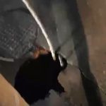 Hapet një gropë e thellë në rrugën Obiliq-Prishtinë