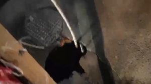 Hapet një gropë e thellë në rrugën Obiliq-Prishtinë