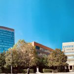 Kosova në mes institucioneve në “hije” dhe bordeve të “boshatisura”