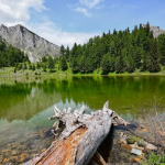 Rritet numri i vizitorëve, ky qytet prin për turizëm