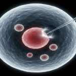 Bllokimi i radikaleve të lira të qelizave të trurit ndihmon parandalimin e demencës