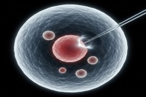 Bllokimi i radikaleve të lira të qelizave të trurit ndihmon parandalimin e demencës