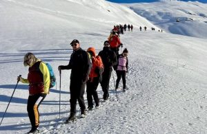 Velivari i mbuluar nga bora, ftesë për sporte dimërore