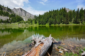 Rritet numri i turistëve në Kosovë