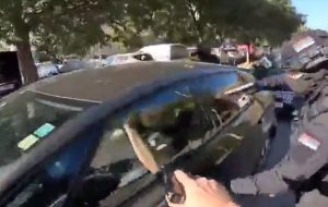 Shikoni videon e arrestimit të kundërshtarit të Vuçiq